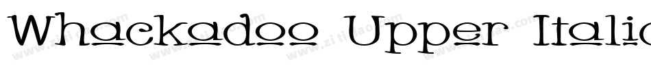 Whackadoo Upper Italic字体转换